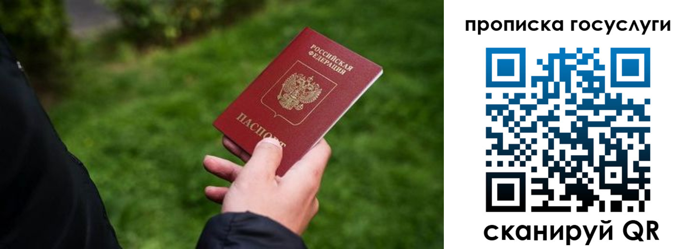 прописка для работы в Волоколамске